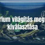 A terrarium with exotic reptiles under specialized lighting, warm glow, realistic.