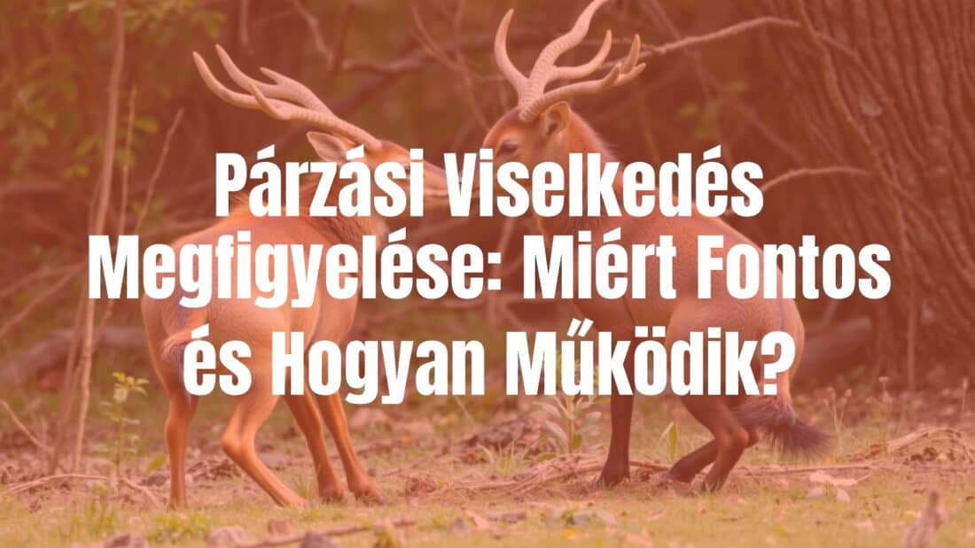 Two animals courting in a natural habitat, detailed observation, scientific mood, realistic.