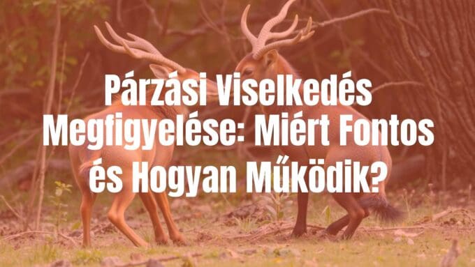 Two animals courting in a natural habitat, detailed observation, scientific mood, realistic.