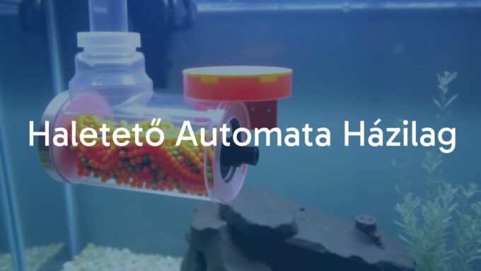DIY automatic fish feeder, aquarium setup, homemade device, simple and functional design, realistic.