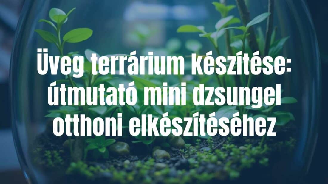 A small glass terrarium with lush green plants, mini jungle style, natural lighting, close-up, realistic.