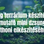 A small glass terrarium with lush green plants, mini jungle style, natural lighting, close-up, realistic.