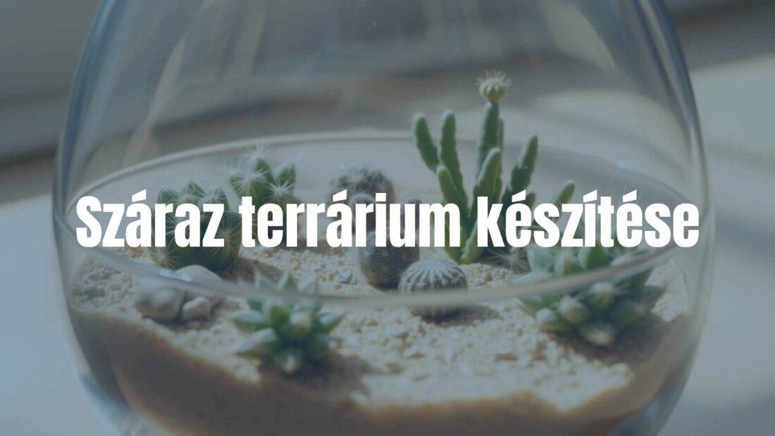 A small desert terrarium with cacti and succulents in a glass container, dry sand base, natural sunlight, minimalist, realistic.