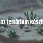 A small desert terrarium with cacti and succulents in a glass container, dry sand base, natural sunlight, minimalist, realistic.