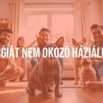 A happy family with hypoallergenic pets, including a hairless cat and a small dog, playing together in a clean, bright living room, realistic.