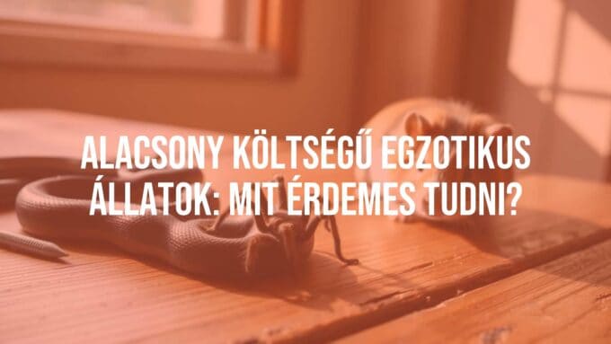 A collection of low-cost exotic pets including a small snake, a tarantula, and a guinea pig, arranged on a wooden table with natural lighting, realistic.