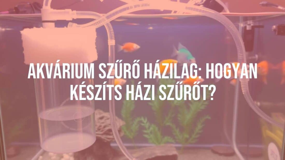 A DIY aquarium filter system, homemade with transparent tubes and sponges, clean water flowing, vibrant fish in the background, well-lit and practical setup, realistic.