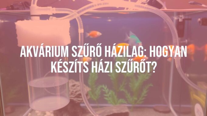 A DIY aquarium filter system, homemade with transparent tubes and sponges, clean water flowing, vibrant fish in the background, well-lit and practical setup, realistic.