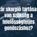 Emperor scorpion in a terrarium, dark environment, detailed close-up, realistic, focus on the scorpion's large size and calm demeanor.