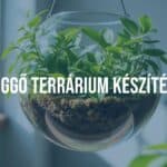 Hanging glass terrarium with lush green plants, floating mid-air, soft natural lighting, realistic.