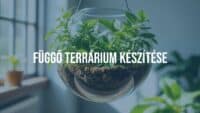 Hanging glass terrarium with lush green plants, floating mid-air, soft natural lighting, realistic.