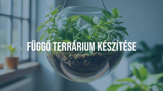 Hanging glass terrarium with lush green plants, floating mid-air, soft natural lighting, realistic.