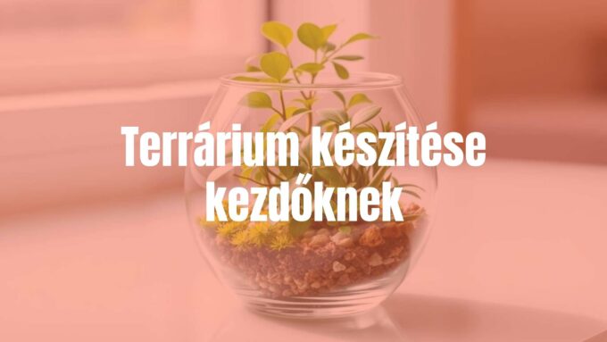 A small glass terrarium with green plants and a simple arrangement, natural light, indoor setting, realistic.