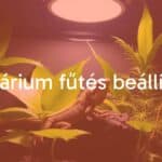A terrarium with a heat lamp, tropical plants, and a lizard basking under warm light, realistic.