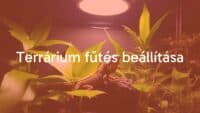 A terrarium with a heat lamp, tropical plants, and a lizard basking under warm light, realistic.