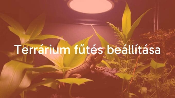 A terrarium with a heat lamp, tropical plants, and a lizard basking under warm light, realistic.