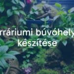 A vibrant terrarium with lush green plants, hiding spots for reptiles and amphibians, naturalistic setting, cozy and safe environment, realistic.