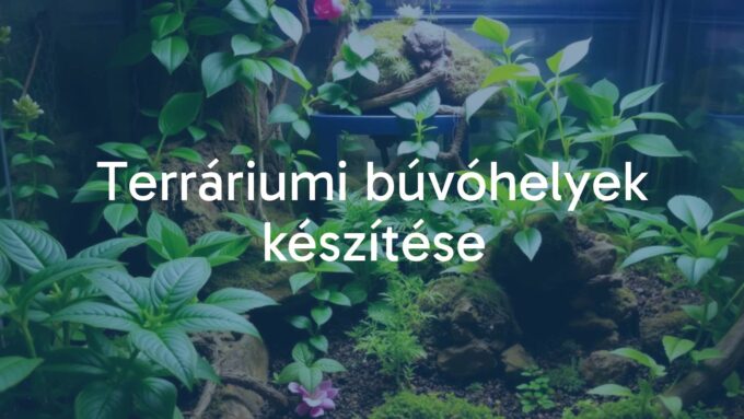 A vibrant terrarium with lush green plants, hiding spots for reptiles and amphibians, naturalistic setting, cozy and safe environment, realistic.