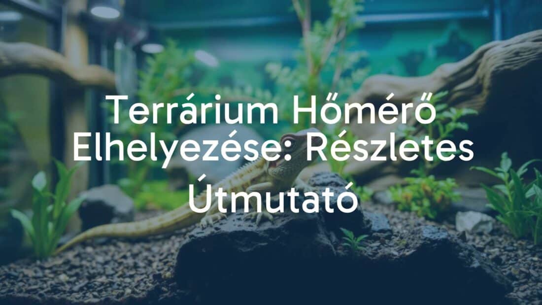 A terrarium with a reptile and a digital thermometer placed correctly, natural habitat setting, realistic lighting, detailed.