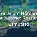 A terrarium with a reptile and a digital thermometer placed correctly, natural habitat setting, realistic lighting, detailed.