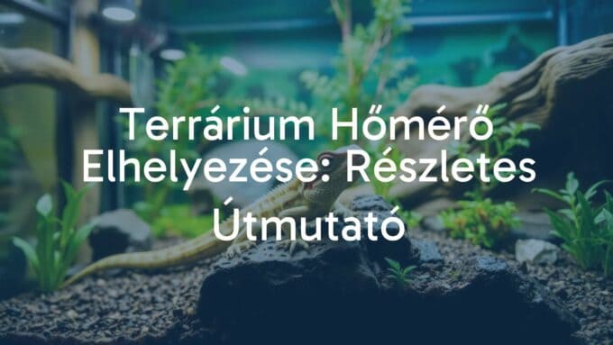 A terrarium with a reptile and a digital thermometer placed correctly, natural habitat setting, realistic lighting, detailed.