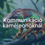 Colorful chameleon changing hues on a tree branch, vibrant jungle background, expressive eyes, realistic.