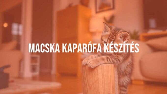 DIY cat scratching post, cozy home, playful kitten scratching, natural wood texture, handmade craft, warm lighting, realistic.