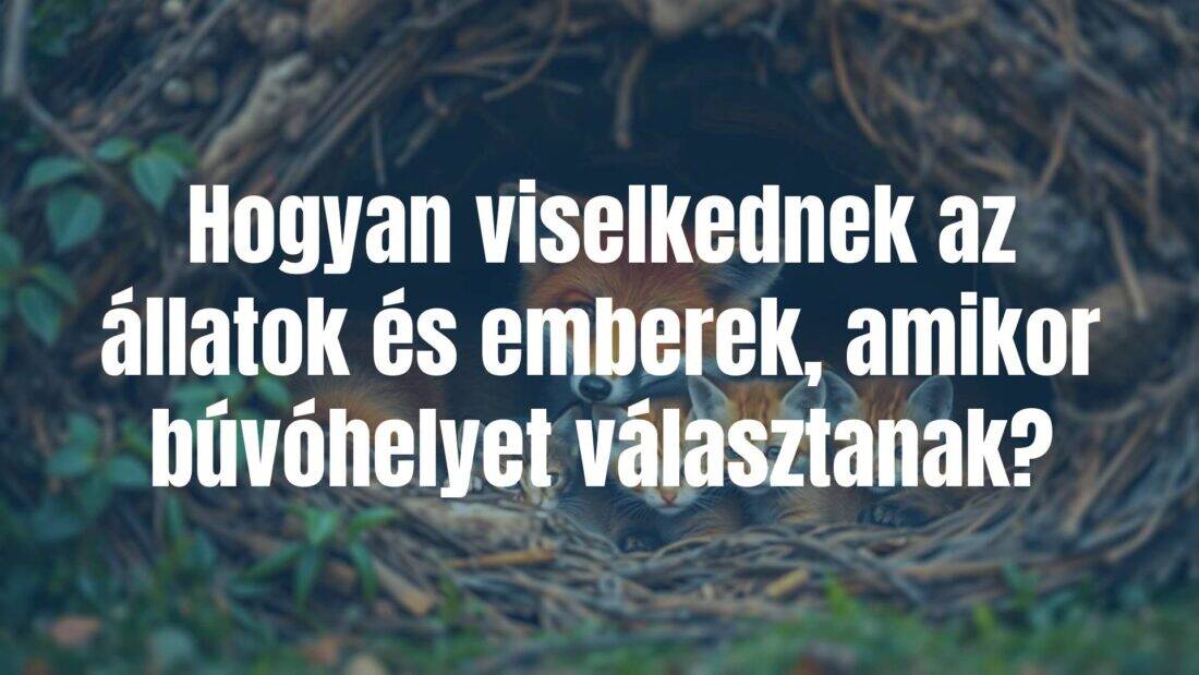 A cozy animal den with a fox and kittens inside, warm lighting, natural setting, peaceful atmosphere, realistic.