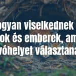 A cozy animal den with a fox and kittens inside, warm lighting, natural setting, peaceful atmosphere, realistic.