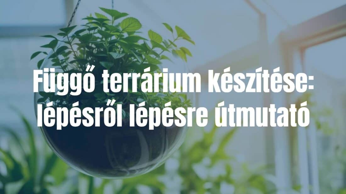 A hanging glass terrarium with lush green plants, suspended in a bright room, sunlight filtering through, realistic and inviting.