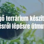 A hanging glass terrarium with lush green plants, suspended in a bright room, sunlight filtering through, realistic and inviting.