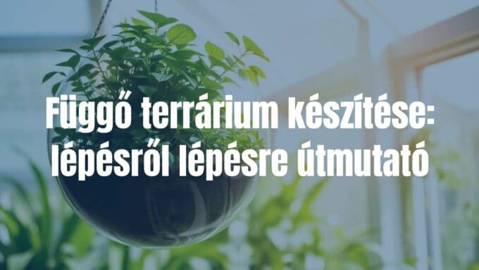 A hanging glass terrarium with lush green plants, suspended in a bright room, sunlight filtering through, realistic and inviting.