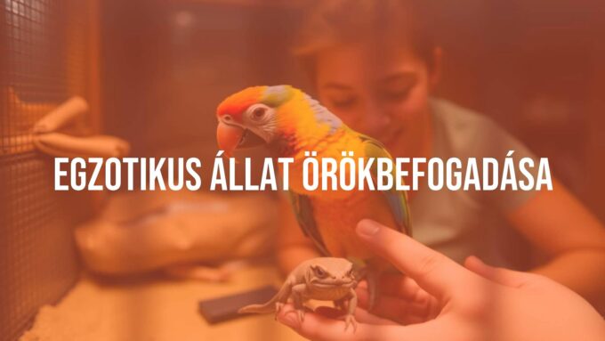 A rescued exotic animal, such as a colorful parrot or a small reptile, in a safe and caring environment, with a person gently interacting with it, warm and inviting atmosphere, realistic.