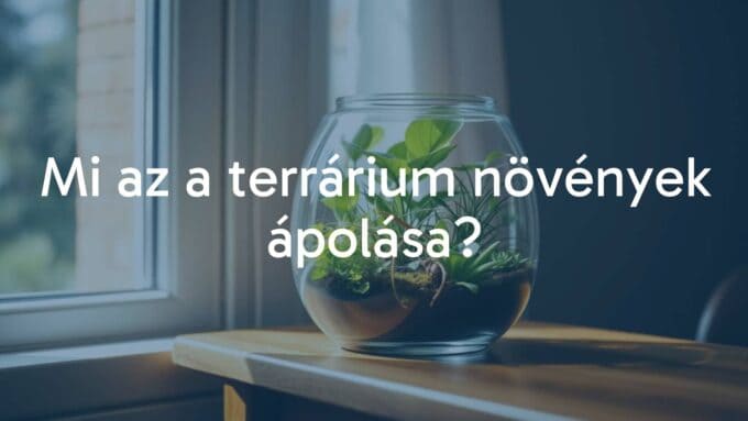 A small glass terrarium with lush green plants inside, placed on a wooden table near a window, soft natural lighting, cozy and peaceful atmosphere, realistic.