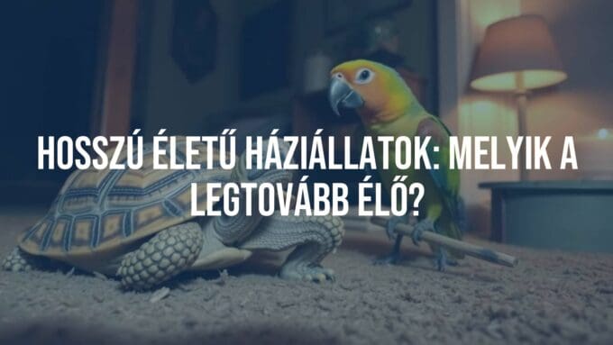 Long-lived pets: a tortoise and a parrot together in a cozy home setting, warm lighting, realistic style.