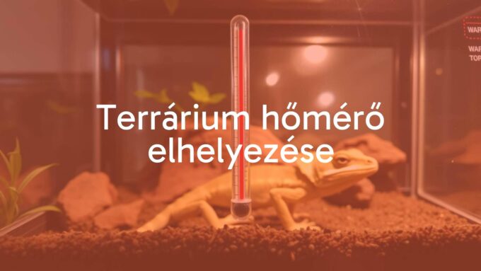 A terrarium with a thermometer placed inside, showing warm and cool zones, featuring a reptile or chameleon, naturalistic lighting, realistic.