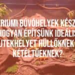 A realistic terrarium with reptiles and amphibians, natural hideout made of rocks and logs, soft lighting, lush greenery, peaceful atmosphere.