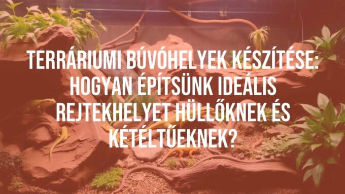 A realistic terrarium with reptiles and amphibians, natural hideout made of rocks and logs, soft lighting, lush greenery, peaceful atmosphere.