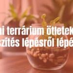 Mini terrarium in a glass jar, lush green plants, small decorative stones, cozy indoor setting, soft natural lighting, realistic.