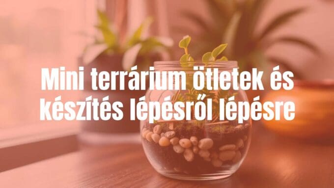 Mini terrarium in a glass jar, lush green plants, small decorative stones, cozy indoor setting, soft natural lighting, realistic.