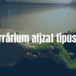 A terrarium with various substrate types like sand, soil, and moss, housing a small reptile, naturalistic lighting, realistic.