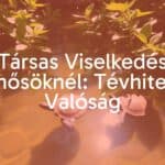 Two river turtles interacting in a natural habitat, clear water, sunlight filtering through, lush greenery, realistic style.