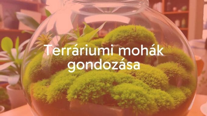 A lush green terrarium with various types of moss, glass container, natural lighting, cozy indoor setting, serene and vibrant, realistic.