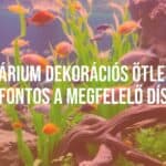 Beautiful aquarium with colorful fish, green aquatic plants, natural decorations like rocks and driftwood, serene underwater scene, realistic.