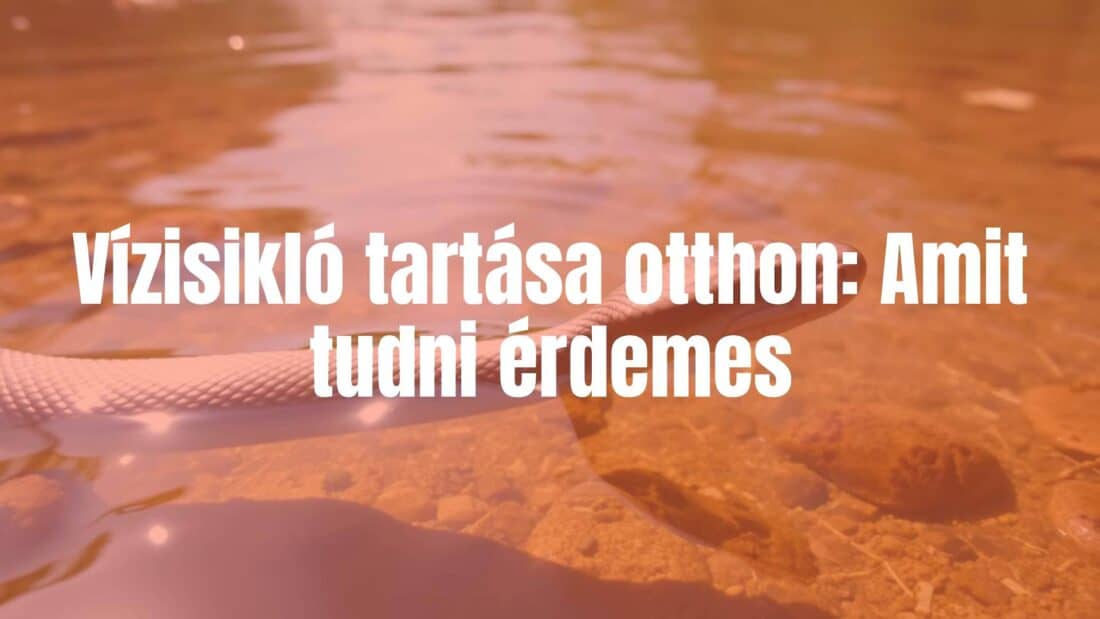 A realistic water snake in a clear river, natural habitat, sunlight filtering through water, focus on the snake's scales and sleek body, peaceful aquatic environment, detailed and vibrant.