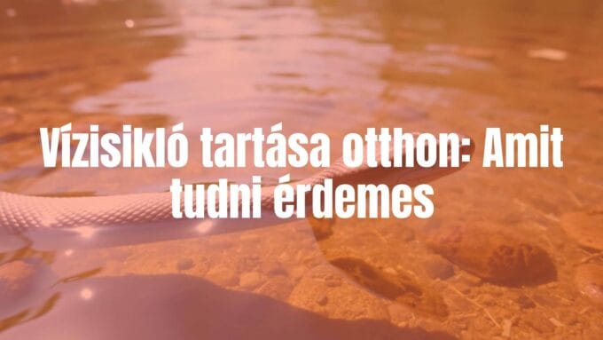 A realistic water snake in a clear river, natural habitat, sunlight filtering through water, focus on the snake's scales and sleek body, peaceful aquatic environment, detailed and vibrant.