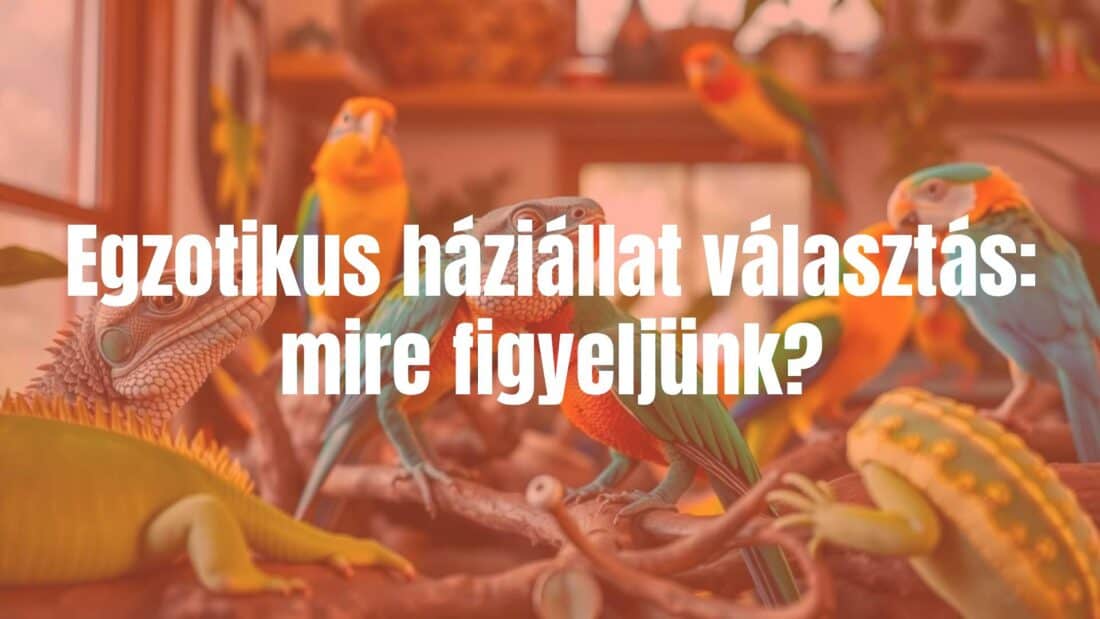 Exotic pet choices, colorful reptiles and birds in a home setting, warm lighting, realistic.