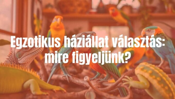 Exotic pet choices, colorful reptiles and birds in a home setting, warm lighting, realistic.