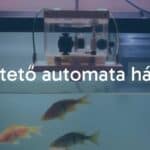 A homemade automatic fish feeder device above an aquarium, with fish swimming below, DIY setting, simple mechanical parts, clean and functional design, warm lighting.