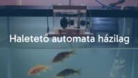 A homemade automatic fish feeder device above an aquarium, with fish swimming below, DIY setting, simple mechanical parts, clean and functional design, warm lighting.
